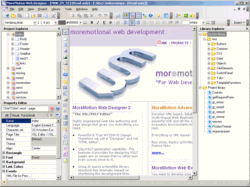 MoreMotion Web Designer icon