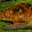 Nanosaur Extreme icon
