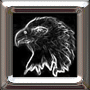 Aquila icon