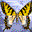 Zoner GIF Animator icon