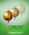 CCProxy icon