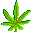 LatHack Port Guard icon