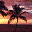 Web Gallery Builder icon