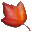 Maple icon