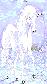Phulmonty icon