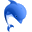 WinPIM 2010 icon