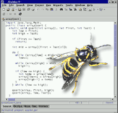 Wasp Static Error Checker icon