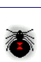 Web Weaver EZ icon