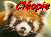 Cleopie icon