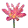 3D Waterlily Screensaver icon