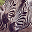 Awesome Creatures Screen Saver icon