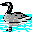 BirdSounds icon