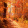 Colors of Autumn Screensaver icon