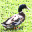 Ducks of Appalachia Screensaver icon