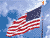 Living American USA Flag icon
