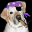 Monet Screen Saver icon