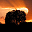 NatureScreen icon