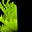 NEON Screensaver icon