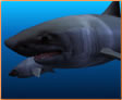 Sharks, Terrors of the Deep icon