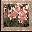 Ws-0003d icon