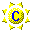 PublicLan icon