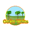 Go Go Visits China icon