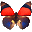 ButterFlight icon