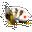 Classic Videopoker icon