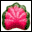 Candy Cruncher icon