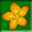 Flower Power icon