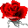 Rose icon