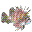 Dwarf Lionfish Wallpaper icon