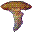 Moving Jellyfish Wallpaper icon