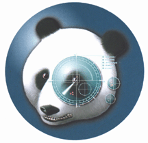 Panda Global Virus Insurance icon