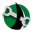 FTP Voyager Software Development Kit icon