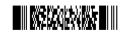 PDF417 Font icon