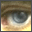 AMI Graphic Workshop Pro icon
