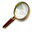 Zoom Engine icon