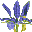Iris Virtual Photo Album icon