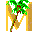 Makaha icon