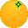 IPetC Basic icon