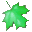 Pocket Maple Reader icon