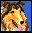 VizAcc Payroll icon