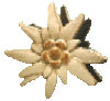 BeWISE - Edelwise Professional Variables icon