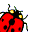 BugCollector Web icon