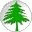 CodingCake icon