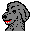 Atrise Everyfind icon