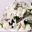 Dream Wedding Planning icon