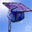 Student Life icon