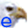 Email Hawk icon